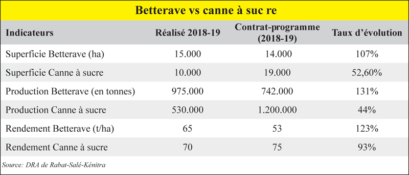 Campagne sucrière Une production record dans le Gharb L Economiste