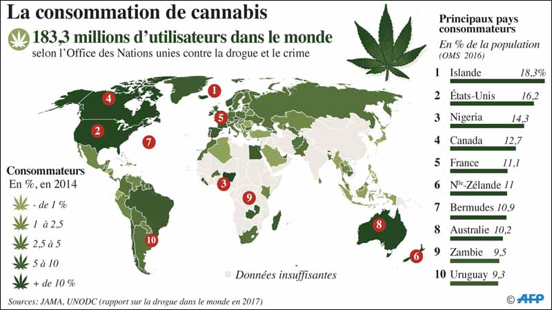 Légaliser Le Cannabis: Faut-il Revoir Notre Politique? | L'Economiste