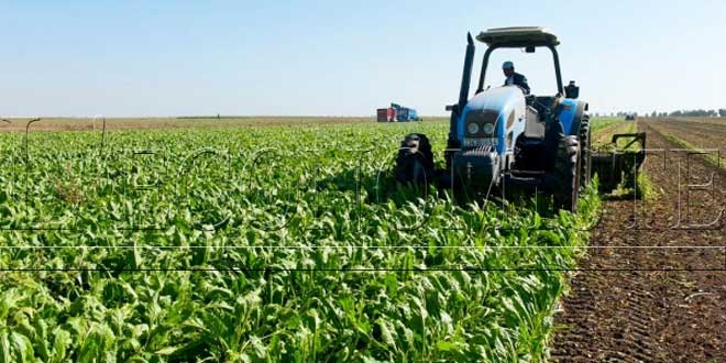 Le ministère de l'Agriculture alloue 17,27 MMDH pour l'investissement en 2025