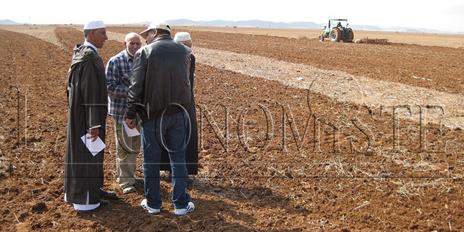 Reconstruction post-séisme: 10,3 MMDH pour le secteur agricole et forestier 