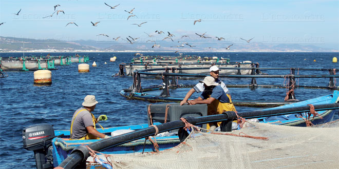 Economie bleue au Maroc: nouvelle étude sur l’impact environnemental et social