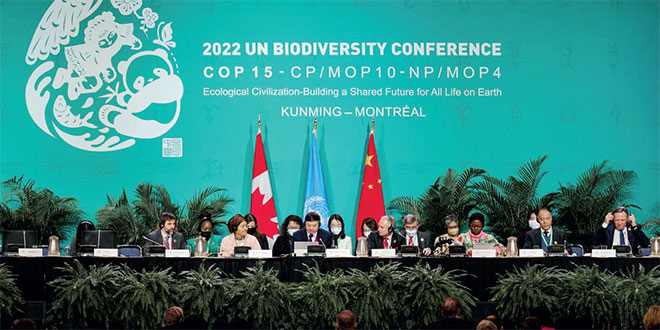 Biodiversité/COP15: Un Accord Historique | L'Economiste