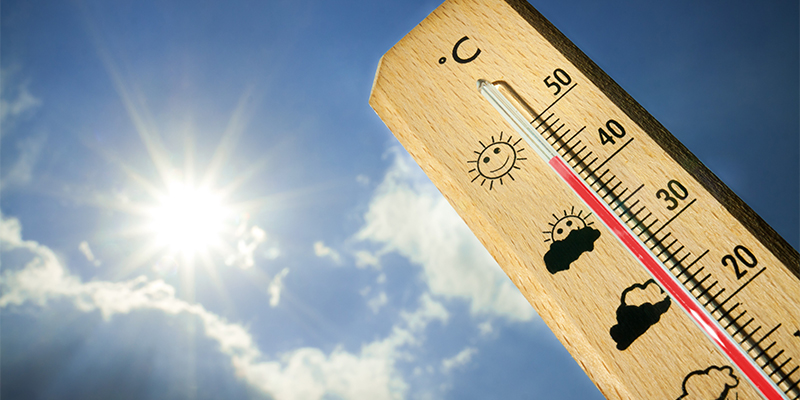 Vague de chaleur : le thermomètre frôle les 50 °C !