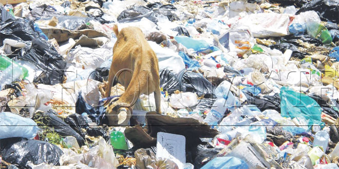 Environnement : le Maroc table sur le recyclage de 30% de ses déchets d'ici  2020 - Barlamane