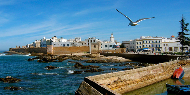 Port d'Essaouira : Les débarquements de la pêche en forte baisse