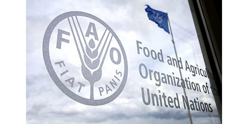 Sécurité alimentaire dans le monde arabe: signature d'un MoU entre la FAO et l'AAAID