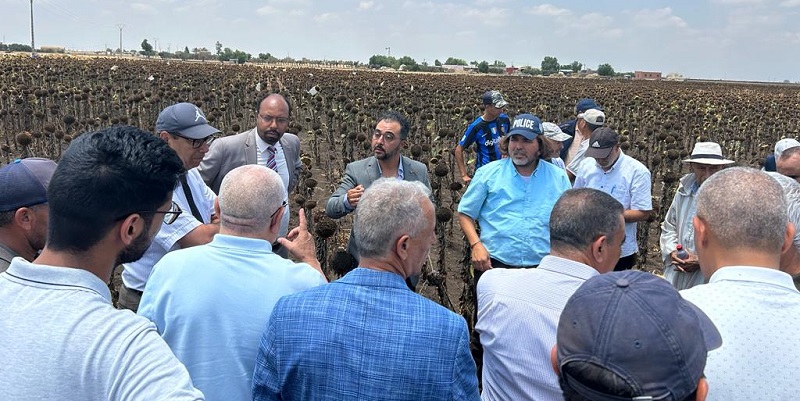 Culture du tournesol : la FOLEA sensibilise les agriculteurs