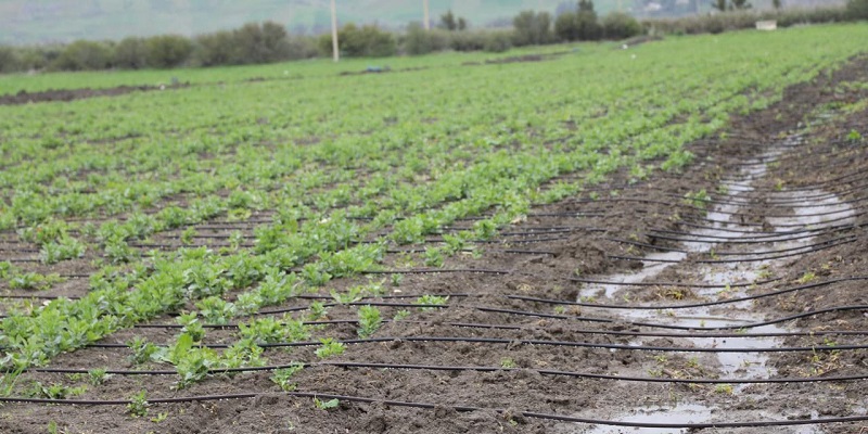 Taounate : Lancement d'un système d'irrigation économique à Bouhouda