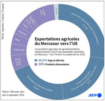 Mercosur et UE: Que vaut l’accord de libre-échange?