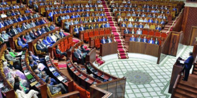 Parliament: What do MPs do?