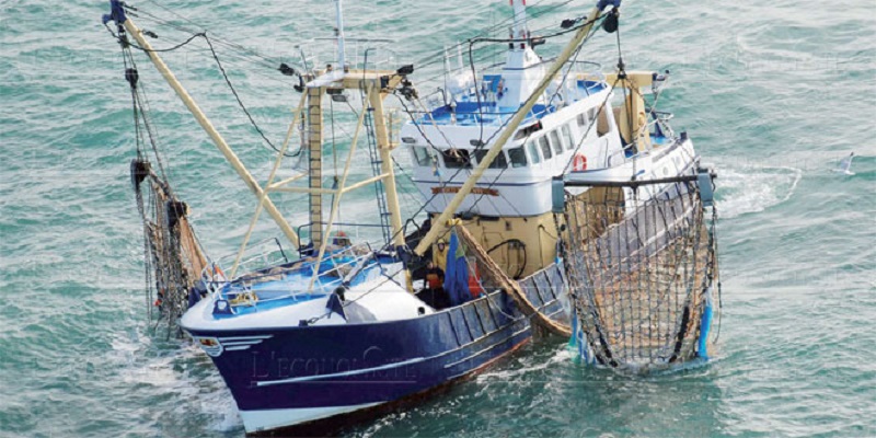 Ports en Méditerranée : Repli de 7% des débarquements de pêche en 2023
