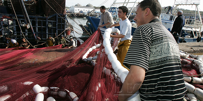 Baisse des débarquements de pêche au port de Nador