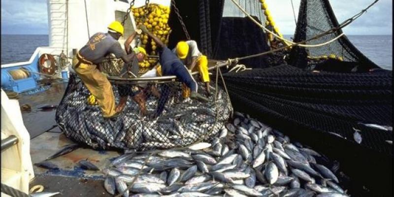 Pêche : hausse de 6% de la valeur malgré une légère baisse du tonnage