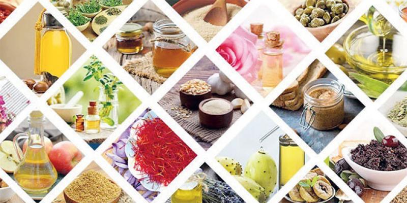 Agadir: Ouverture du Salon Régional des Produits du Terroir