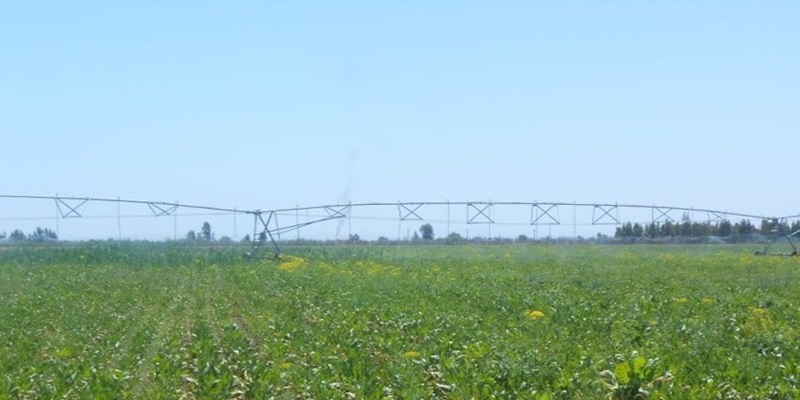 Kénitra : Plus de .4700 agriculteurs bénéficiaires d'un projet de reconversion en irrigation localisée