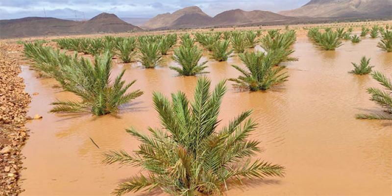 Agriculture/Inondations dans le Sud-Est: Sadiki annonce un plan d’urgence