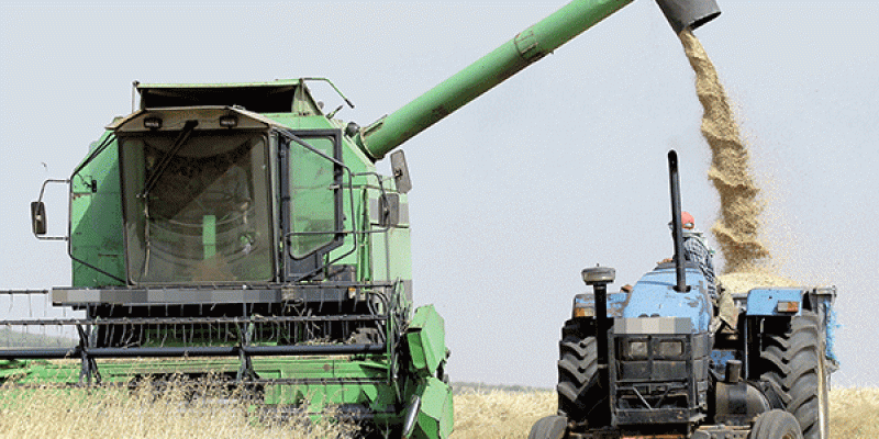 Farine de blé tendre : Le dispositif pour la prochaine saison