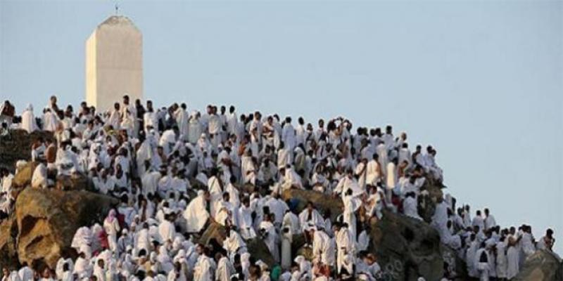 Les Pèlerins entament le rite fondamental du Hajj sur le Mont Arafat