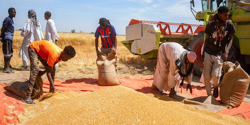 Alerte sur la Situation Alimentaire et le Risque de Famine au Soudan