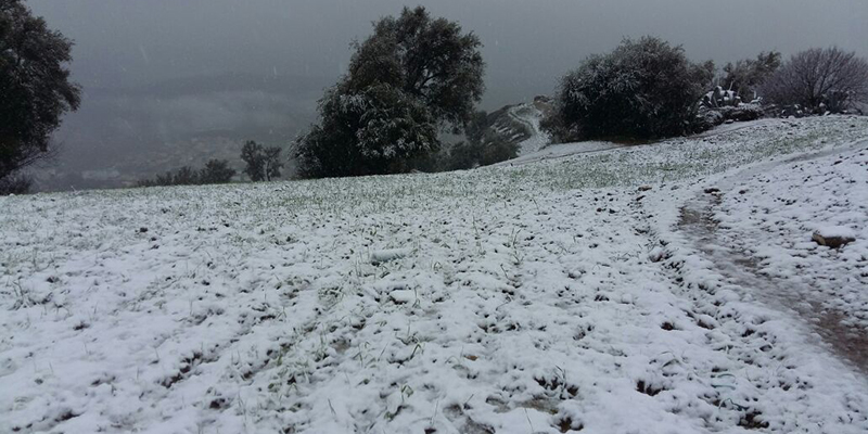 Météo : Une vague de froid de mardi à vendredi