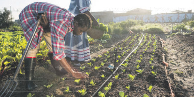 Développement durable L'Afrique appelée à accélérer le rythme  L