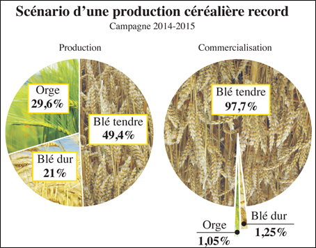 Ble Tendre Le Gouvernement Active Le Plan De Soutien Page 4 L Economiste