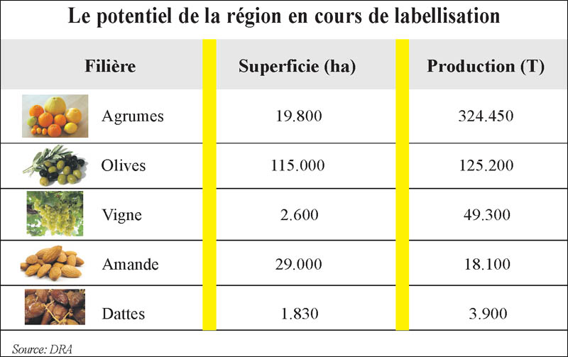 Nette progression de la filière de l’amandier à l’oriental – AgriMaroc.ma