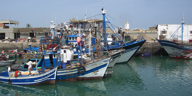 port_safi_trt.jpg