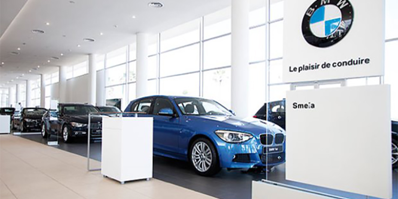 smeia-bmw_trt.jpg