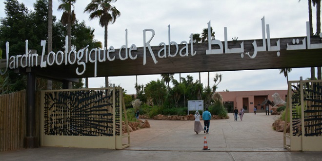 Zoo de Rabat : Lycaons, gazelles et outardes rejoignent la collection